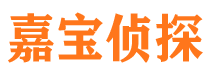 九龙调查公司